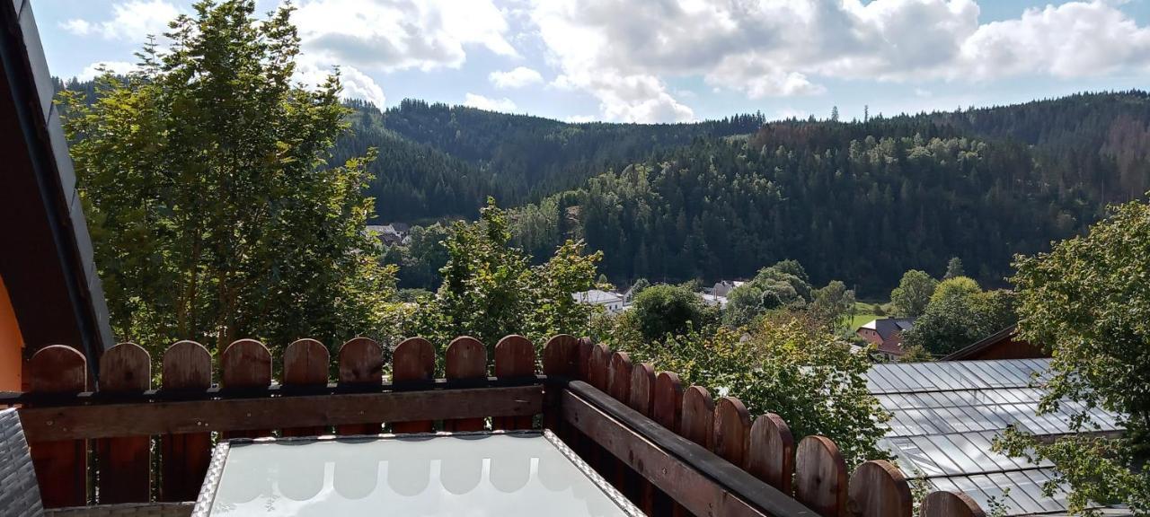 Ferienhaus Hilde Steinwiesen Esterno foto